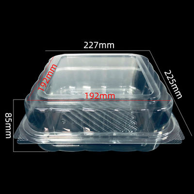 Embalagens de bolhas de PET diretamente personalizadas para alimentos de padaria