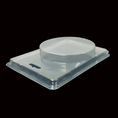 Embalagem de plástico PET transparente com dobradiças Blister de carapaça para unhas falsas ISO9001 aprovado